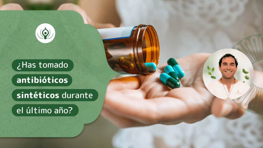 ¿Has tomado antibióticos sintéticos durante el último año?