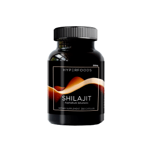 SHILAJIT ASPHALTUM BITUMENSA AYURVEDA